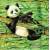 Serwetka decoupage firmy IHR pandy w bambusach 33x33cm